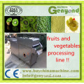 Fruit and Vegetable Cube Cutting Machine | Fruit chopping machine